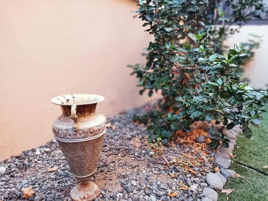 Ferienwohnung Urban Garden Hideaway Palm-mar Spanien